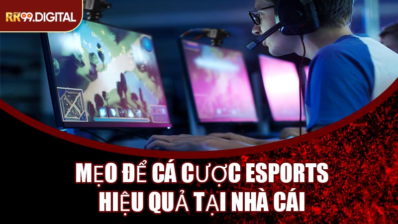 Mẹo Để Cá Cược Esports Hiệu Quả Tại Nhà Cái