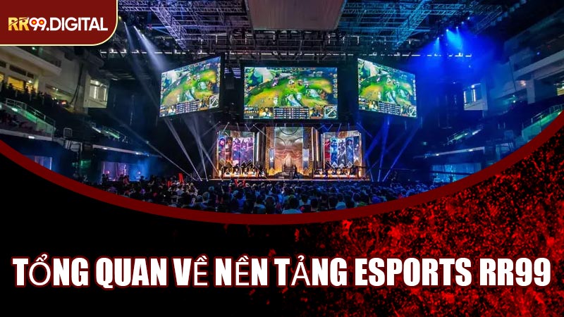 Tổng Quan Về Nền Tảng Esports RR99