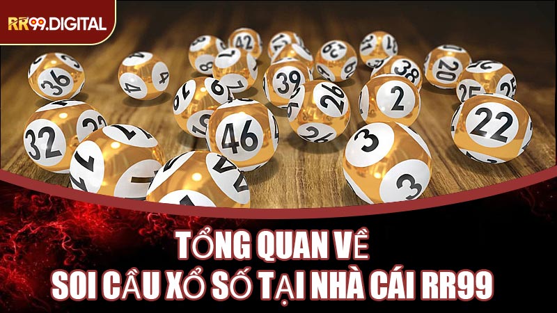 Tổng Quan Về Soi Cầu Xổ Số Tại Nhà Cái RR99